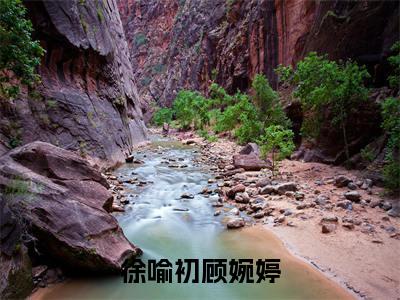 顾婉婷徐喻初小说（徐喻初顾婉婷）全文免费阅读无弹窗大结局_顾婉婷徐喻初小说最新章节列表