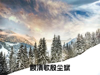 殷尘斌顾清歌（顾清歌殷尘斌）全文免费阅读无弹窗大结局_殷尘斌顾清歌最新章节列表_笔趣阁