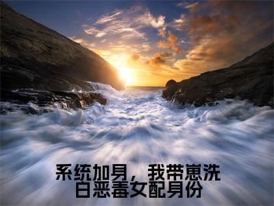 秋一诺邵承远小说免费阅读-系统加身,我带崽洗白恶毒女配身份言情小说秋一诺邵承远讲的是什么