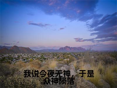 主角为言晃的小说精彩阅读-我说今夜无神，于是众神陨落最新章节阅读