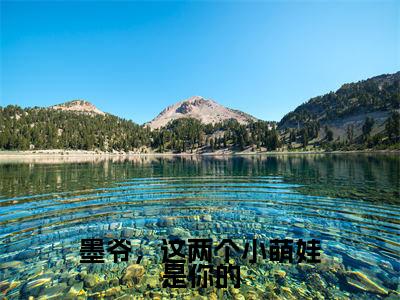 夜墨白芊芊小说在线阅读全文无弹窗大结局_墨爷,这两个小萌娃是你的小说免费最新章节列表