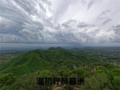 温初柠林暮洲小说温初柠林暮洲完整版全文在线赏析-小说温初柠林暮洲全文大结局已完结