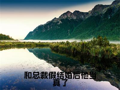 和总裁假结婚后他当真了（宋意妍）精选好书-宋意妍无删减小说在线阅读（和总裁假结婚后他当真了全文免费阅读）