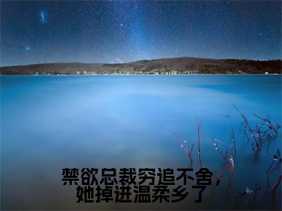 禁欲总裁穷追不舍,她掉进温柔乡了(墨柔傅景珩)全文免费阅读无弹窗大结局_墨柔傅景珩最新章节列表_笔趣阁(墨柔傅景珩)