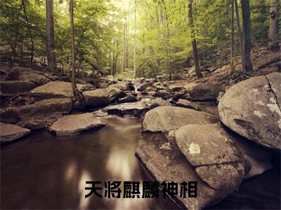 天将麒麟神相新书热荐免费小说吕文昌全文完整版-吕文昌小说全文无删减版免费阅读