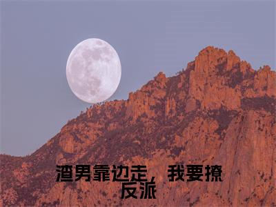 渣男靠边走，我要撩反派小说免费下载（渣男靠边走，我要撩反派完整全集已完结大结局小说）_阮堇唐南风免费阅读笔趣阁