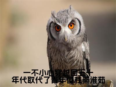 一不小心穿越回五十年代取代了青年傻柱秦淮茹（许大茂秦淮茹）小说在线阅读_一不小心穿越回五十年代取代了青年傻柱秦淮茹免费阅读笔趣阁（许大茂秦淮茹）