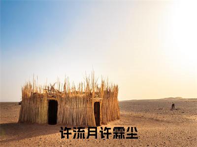 许霖尘许流月热门小说在哪免费看-小说许流月许霖尘（许霖尘许流月）完整版全文在线赏析
