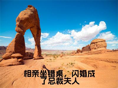 小说《安柠宴时琛》全文免费阅读无弹窗-相亲坐错桌,闪婚成了总裁夫人小说全文在线赏析