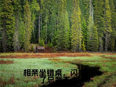 小说相亲坐错桌,闪婚成了总裁夫人(安柠宴时琛)全文免费阅读-最火热门小说相亲坐错桌,闪婚成了总裁夫人最新章节更新