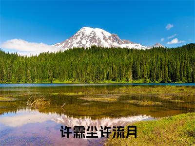 主角许霖尘许流月小说许霖尘许流月小说全文免费阅读
