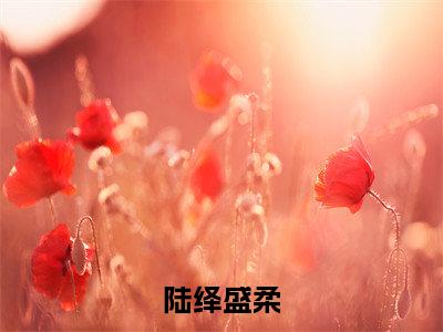 陆绎盛柔全文免费阅读无弹窗大结局,盛柔陆绎小说精彩免费试读