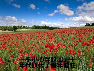 一不小心穿越回五十年代取代了青年傻柱（许大茂秦淮茹）全文免费阅读无弹窗完整版，（一不小心穿越回五十年代取代了青年傻柱）免费阅读全文最新章节列表_笔趣阁