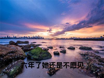 六年了她还是不愿见你(谢靖承池念)全文免费阅读无弹窗大结局_六年了她还是不愿见你免费阅读无弹窗最新章节列表