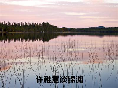 （许稚意谈锦渊）许稚意谈锦渊小说小说全文免费许稚意谈锦渊读最新章节列表笔趣阁（许稚意谈锦渊）