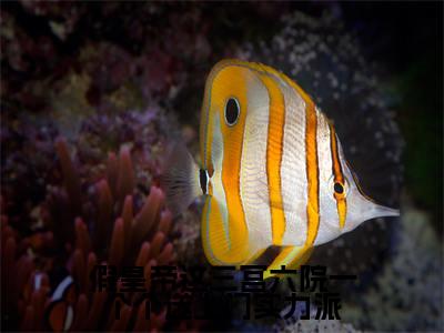 李长寿淑妃(假皇帝这三宫六院一个个送上门实力派)全文阅读-最火热点小说李长寿淑妃最新更新