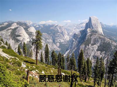 顾慈恩谢钦（顾慈恩谢钦）全文免费阅读无弹窗大结局_（顾慈恩谢钦无弹窗）_笔趣阁