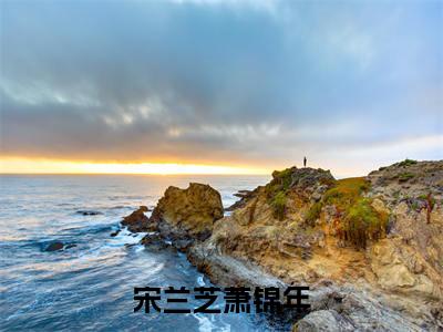 宋兰芝萧锦年（宋兰芝萧锦年）小说全文-宋兰芝萧锦年无弹窗免费阅读