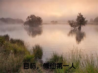 目标,修仙第一人全文免费阅读_(宁昭小说)目标,修仙第一人言情小说在线阅读笔趣阁(宁昭)