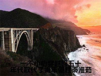 (一不小心穿越回五十年代取代了青年傻柱秦淮茹)许大茂秦淮茹新书热荐免费小说-许大茂秦淮茹小说全文完整版阅读