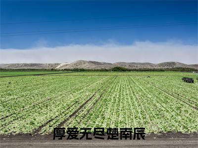 厚爱无尽楚南辰（许若楚南辰）全文免费阅读无弹窗大结局_（厚爱无尽楚南辰）许若楚南辰最新章节列表_笔趣阁