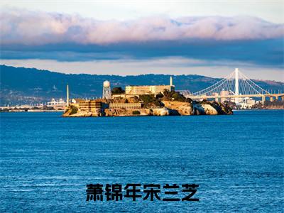 萧锦年宋兰芝(宋兰芝萧锦年)小说全文免费阅读无弹窗大结局_萧锦年宋兰芝(宋兰芝萧锦年)最新章节列表