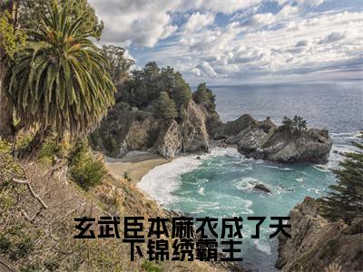 楚青石铁柱（玄武臣本麻衣成了天下锦绣霸主）全文免费阅读无弹窗大结局_楚青石铁柱小说全文大结局