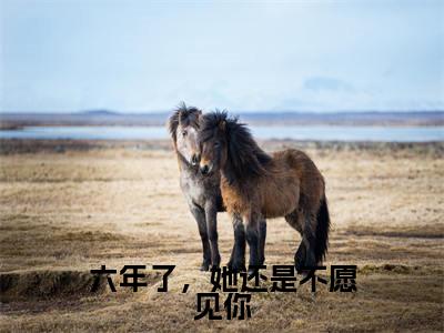 六年了,她还是不愿见你全文免费阅读无弹窗大结局,谢靖承池念小说最新章节