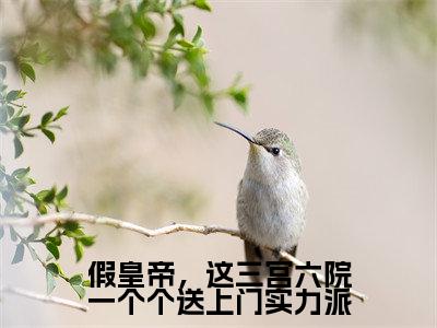 假皇帝,这三宫六院一个个送上门实力派(李长寿淑妃)小说全文小说免费阅读_假皇帝,这三宫六院一个个送上门实力派最新章节列表笔趣阁(李长寿淑妃)