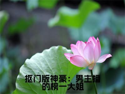 (热推新书)《抠门版神豪:男主播的榜一大姐》余娇明明无弹窗阅读_抠门版神豪:男主播的榜一大姐最新章节列表_笔趣阁