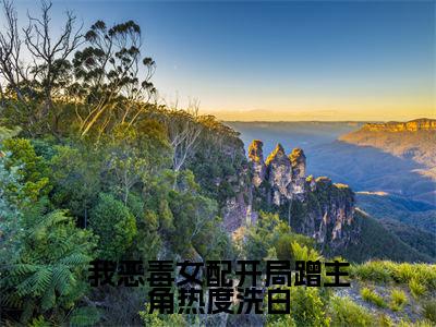 我恶毒女配开局蹭主角热度洗白小说免费（贺闻迟谢南星）全文免费阅读无弹窗-我恶毒女配开局蹭主角热度洗白小说全文免费阅读-笔趣阁