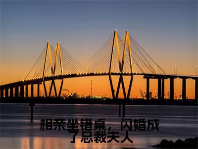 相亲坐错桌,闪婚成了总裁夫人是什么小说,相亲坐错桌,闪婚成了总裁夫人(安柠宴时琛)完整章节在线阅读