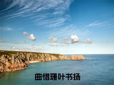 曲惜珊叶书扬(曲惜珊叶书扬)全文免费阅读无弹窗大结局_(曲惜珊叶书扬无弹窗)_笔趣阁