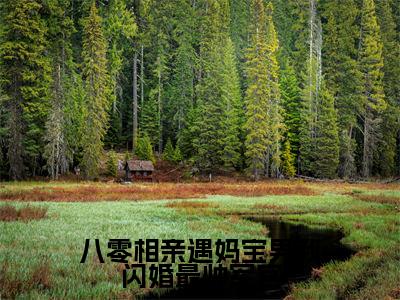 沐瑶顾宪安（八零相亲遇妈宝男我闪婚最帅军官）全文免费阅读大结局_八零相亲遇妈宝男我闪婚最帅军官无弹窗最新章节列表