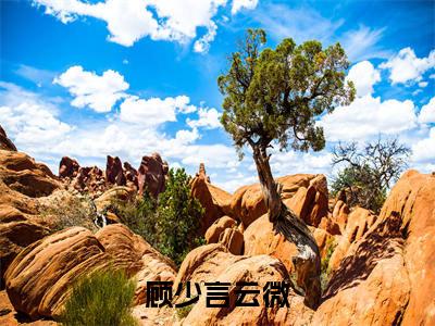 云微顾少言今日阅读更新,顾少言云微全文在线看