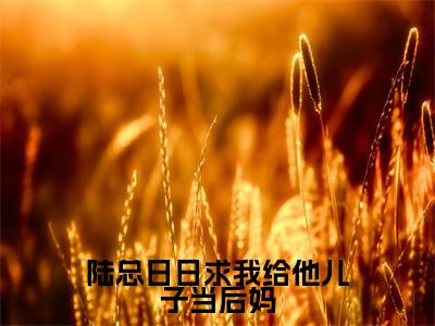 陆忱时洛心（陆忱时洛心）全文免费阅读无弹窗大结局_陆总日日求我给他儿子当后妈最新章节列表