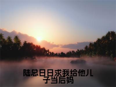 陆忱时洛心小说全文免费阅读_(陆忱时洛心)陆总日日求我给他儿子当后妈小说最新章节列表笔趣阁