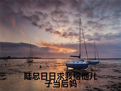 陆总日日求我给他儿子当后妈（陆忱时洛心大结局小说全集完整版）_（陆忱时洛心小说）陆总日日求我给他儿子当后妈全文阅读笔趣阁