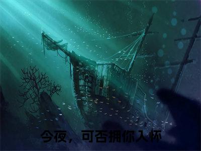 (热推新书)《今夜,可否拥你入怀》全文免费阅读无弹窗大结局_林浅妤谢北辰无弹窗全文阅读