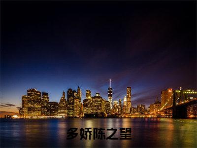 多娇陈之望(苏娘子陈之望)全文免费阅读无弹窗大结局_(苏娘子陈之望)小说免费阅读最新章节列表