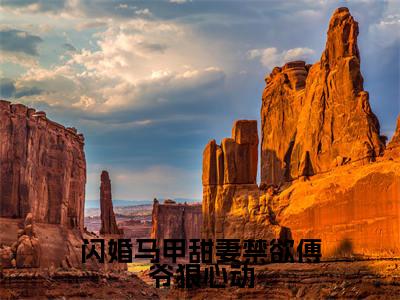 闪婚马甲甜妻禁欲傅爷狠心动(洛星冉傅凌爵)全文免费阅读无弹窗-洛星冉傅凌爵小说完整版在线阅读