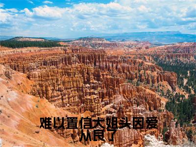 难以置信大姐头因爱从良了免费阅读全文免费阅读无弹窗大结局_(林清雾陆延生小说免费阅读)难以置信大姐头因爱从良了最新章节阅读