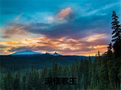 肖云最新章节(深情歌王)全文免费阅读无弹窗大结局_深情歌王小说全文免费阅读正版无弹窗