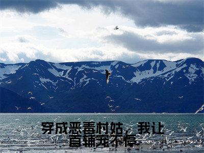 苏漫漫沈秉呈(穿成恶毒村姑,我让首辅宠不停)全文免费阅读_(穿成恶毒村姑,我让首辅宠不停)苏漫漫沈秉呈最新章节列表_笔趣阁