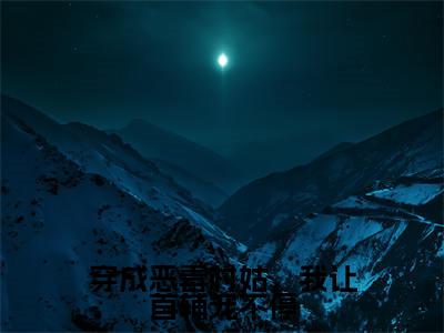 穿成恶毒村姑,我让首辅宠不停(苏漫漫沈秉呈)全文免费阅读_(苏漫漫沈秉呈)小说穿成恶毒村姑,我让首辅宠不停最新章节阅读