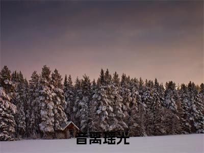 音离瑶光小说全文免费阅读无弹窗,(音离瑶光)小说全文免费阅读