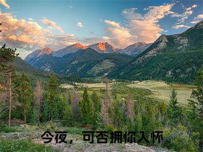 小说林浅妤谢北辰全文阅读-今夜,可否拥你入怀小说林浅妤谢北辰大结局