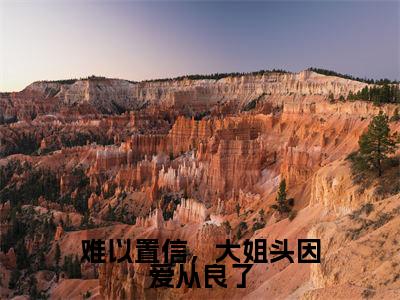 难以置信,大姐头因爱从良了小说全文免费阅读无弹窗大结局_(难以置信,大姐头因爱从良了)林清雾陆延生最新章节列表笔趣阁