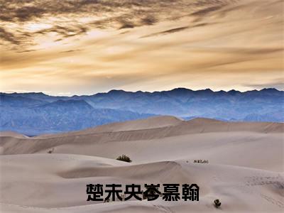 楚未央岑慕翰全文(楚未央岑慕翰)全文免费阅读无弹窗大结局_楚未央岑慕翰免费最新章节列表_笔趣阁