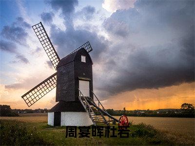 周宴晖杜若（杜若周宴晖）全文免费阅读无弹窗大结局_（杜若周宴晖免费阅读全文大结局）最新章节列表